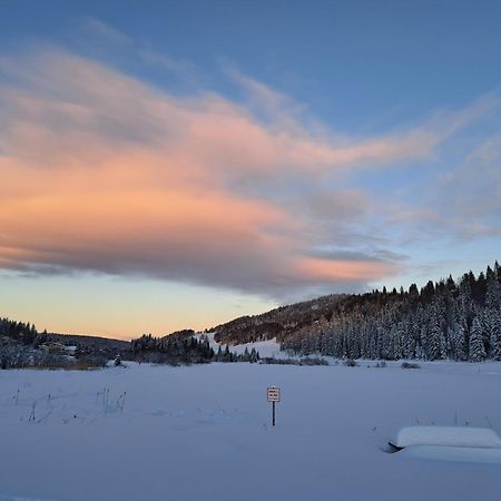 Au Coeur Du Lapidaire Septmoncel-Les-Molunes Eksteriør billede
