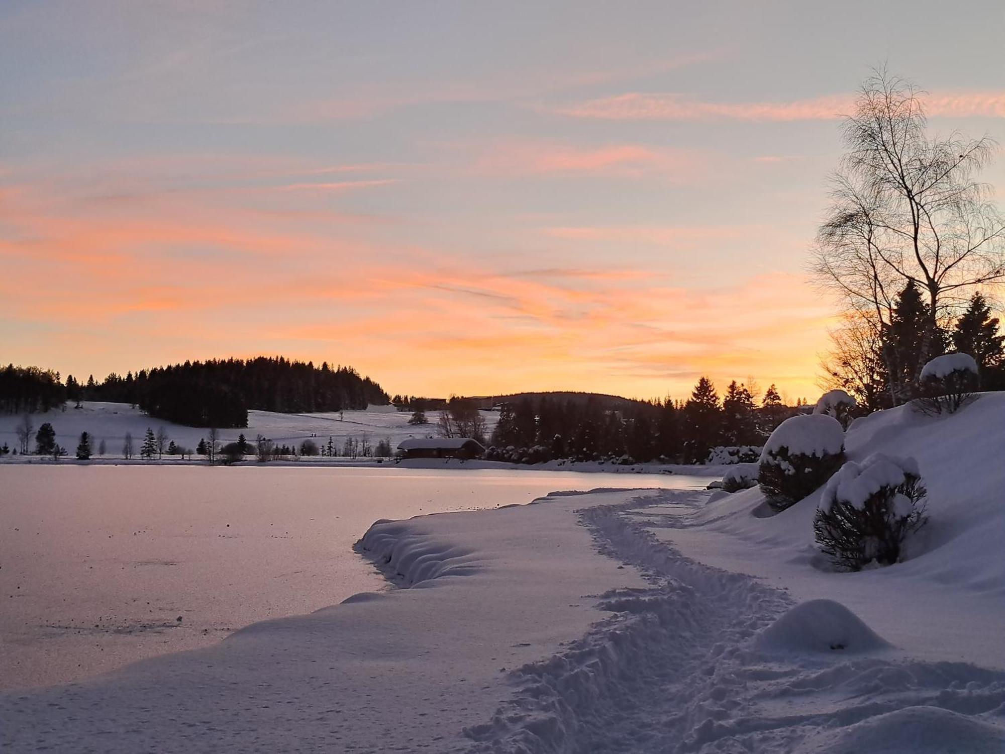 Au Coeur Du Lapidaire Septmoncel-Les-Molunes Eksteriør billede