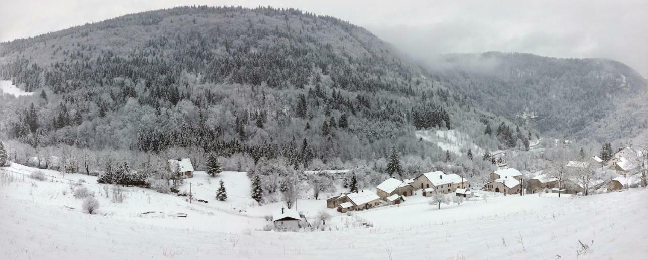 Au Coeur Du Lapidaire Septmoncel-Les-Molunes Eksteriør billede