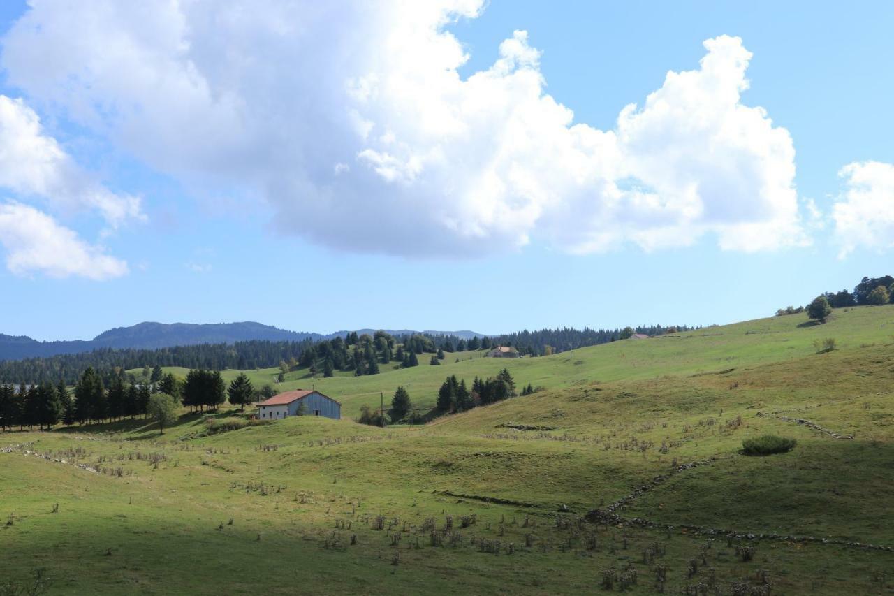 Au Coeur Du Lapidaire Septmoncel-Les-Molunes Eksteriør billede