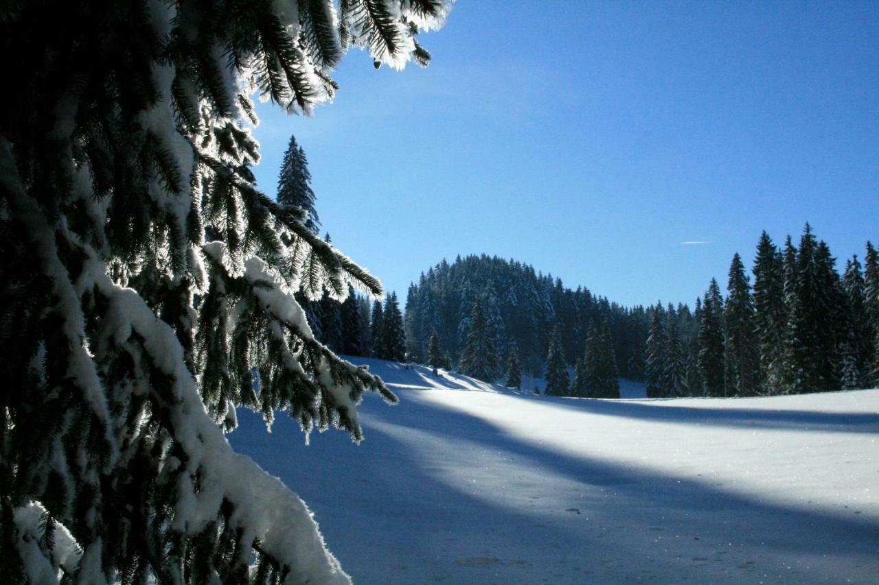 Au Coeur Du Lapidaire Septmoncel-Les-Molunes Eksteriør billede