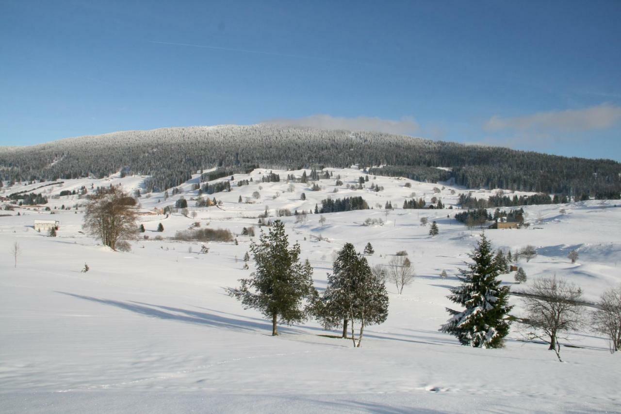 Au Coeur Du Lapidaire Septmoncel-Les-Molunes Eksteriør billede