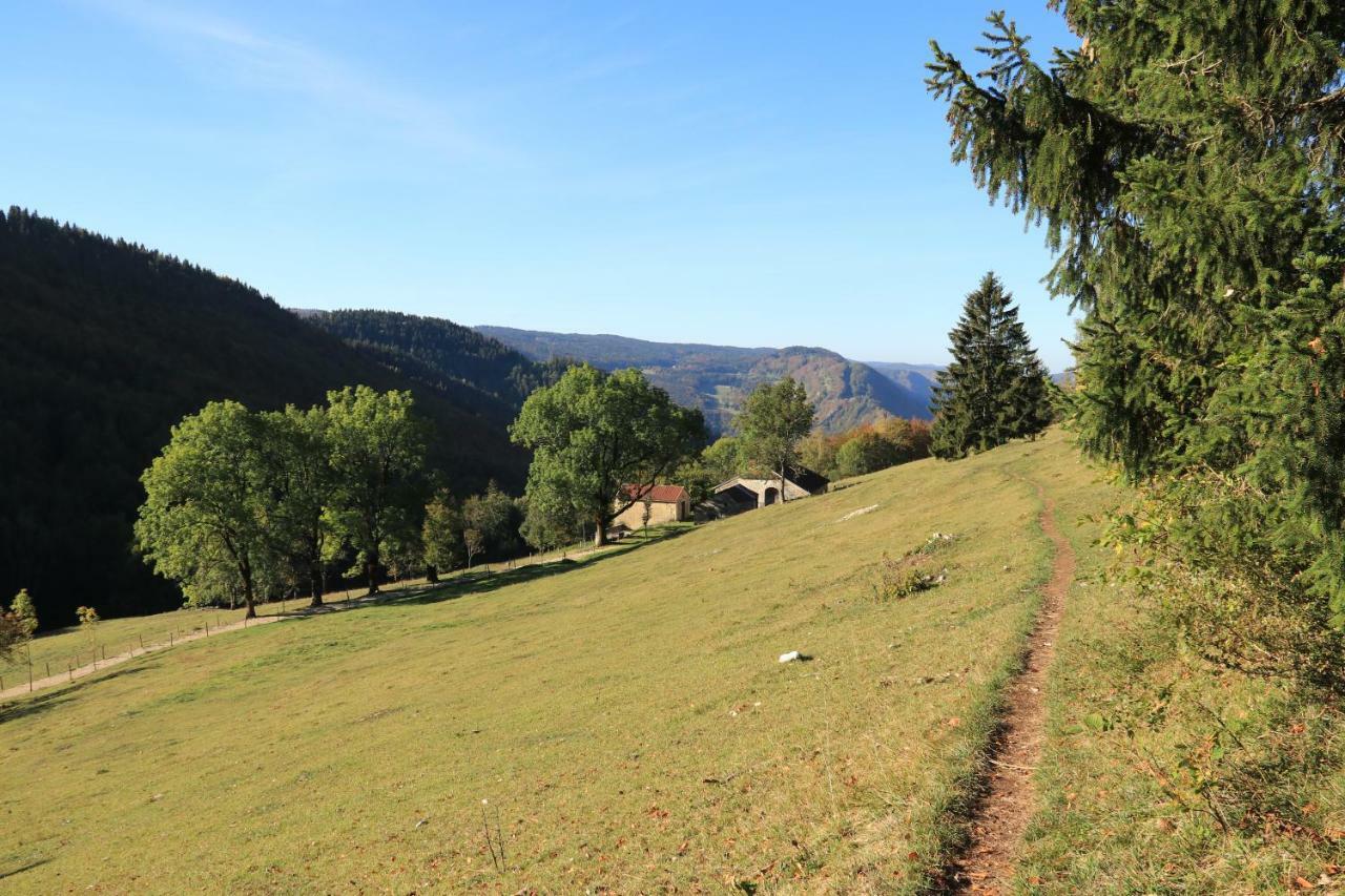 Au Coeur Du Lapidaire Septmoncel-Les-Molunes Eksteriør billede