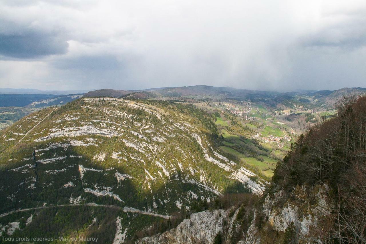 Au Coeur Du Lapidaire Septmoncel-Les-Molunes Eksteriør billede